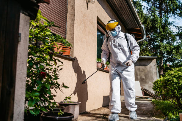Best Emergency Pest Control  in Uintah, UT