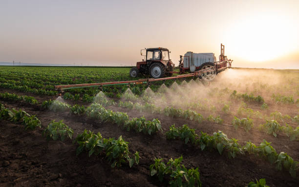 Best Pest Removal Services  in Uintah, UT