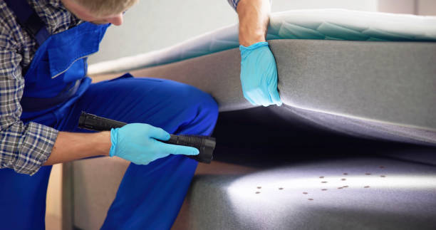 Best Best Pest Control Near Me  in Uintah, UT