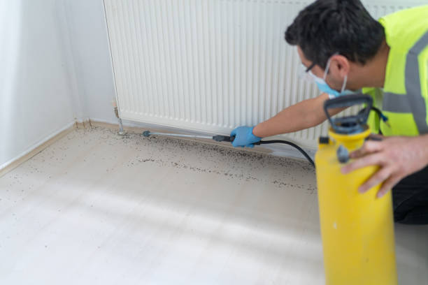 Best Pest Control Near Me  in Uintah, UT